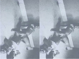 Today Exclusive Desi Wife Dick Leaked Video